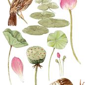 My project for course: Illustrated Stationery: A Guide to Sell and Market Your Art. Traditional illustration, Br, ing, Identit, Creative Consulting, Design Management, Marketing, Drawing, Digital Illustration, Portfolio Development, Realistic Drawing, Digital Painting, Naturalistic Illustration, Br, Strateg, Management, Productivit, Watercolor Painting, Botanical Illustration, Arts, Crafts, Fine Arts, Painting, Pencil Drawing, Floral, and Plant Design project by Pakatip Dejaturat - 02.11.2024