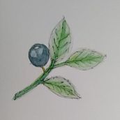 Mi proyecto del curso: Ilustración con acuarela Ein Projekt aus dem Bereich Traditionelle Illustration, Bildende Künste, Malerei, Zeichnung, Aquarellmalerei und Botanische Illustration von brayanisrael1012 - 05.02.2024