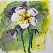 Pen and ink watercolor . Watercolor Painting project by Tony Costa - 02.13.2024