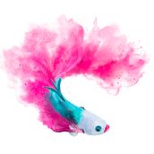 Messy Watercolor Fish. Watercolor Painting, and Digital Illustration project by Michael Williams - 02.15.2024