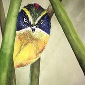 Proyecto del Curso: Ilustración Naturalista de Aves con Acuarela de Antonia Reyes Montealegre: Siete Colores en Acuarela. Ilustração tradicional, Pintura em aquarela, Ilustração naturalista, e Pintura projeto de Rosa Yanira Mella Espinoza - 12.02.2024