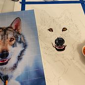 My project for course: Expressive Animal Portraits in Watercolor. Traditional illustration, Watercolor Painting, Realistic Drawing, and Naturalistic Illustration project by joantommarello - 02.17.2024