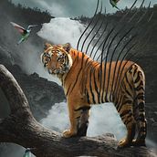 Mon projet du cours : Photomontage et illustrations fantastiques sur Photoshop. Photograph, Collage, Photo Retouching, Digital Illustration, Photographic Composition, and Photomontage project by Caro St-Pierre - 07.10.2023