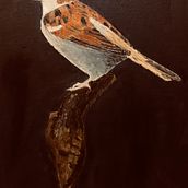 My project for course: Classical Oil Painting for Naturalist Bird Portraiture. Artes plásticas, Pintura, Pintura a óleo, Ilustração naturalista e Ilustração tradicional projeto de Winston Liauw - 18.02.2024