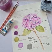 Mi proyecto del curso: Dibujo y composición naturalista en acuarela Hortensia. Traditional illustration, Drawing, Watercolor Painting, and Naturalistic Illustration project by appel_chocolate - 02.18.2024