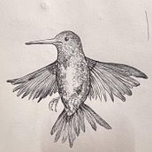 corso di Mazzoni . Traditional illustration project by paola - 02.19.2024