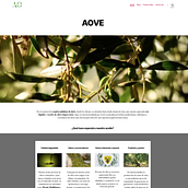 AOVE aceite de oliva virgen extra. Un progetto di  di dominiquegimenez - 20.02.2024