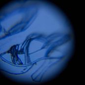 LA REALIDAD ES UNA MASA QUE SE ARRASTRA. Fine Arts, and 2D Animation project by Mauricio Ramírez Vásquez - 04.05.2018