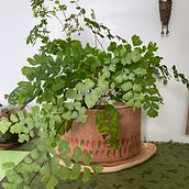 Meu projeto do curso: Cerâmica: design e criação de peças para autoirrigação. Accessor, Design, Arts, Crafts, Fine Arts, Ceramics, and DIY project by Babi Vieira - 02.20.2024