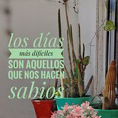 Mi proyecto del curso: Fotografía profesional para Instagram. Advertising, Photograph, Marketing, Mobile Photograph, Product Photograph, Mobile Marketing, Instagram, Instagram Photograph, Lifest, and le Photograph project by Catalina V Molina - 02.20.2024