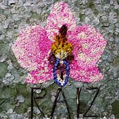 Raíz. Arts, Crafts, and Naturalistic Illustration project by Daniela Gómez Giraldo - 02.20.2024