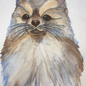 Il mio progetto del corso: Tecniche sperimentali di acquerello per principianti. Traditional illustration, Fine Arts, Watercolor Painting, and Naturalistic Illustration project by anthea1_deluca - 02.21.2024