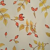 Rose hips. Un proyecto de Ilustración tradicional de Nina Grebenova - 21.02.2024