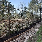 Recuperação de ruína. Projekt z dziedziny Kreat i wność użytkownika Susete Neiva - 22.02.2024
