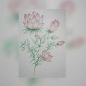 Mi proyecto del curso: Dibujo y composición naturalista en acuarela. Un proyecto de Ilustración tradicional, Dibujo, Pintura a la acuarela e Ilustración naturalista				 de Laura Huerta - 22.02.2024