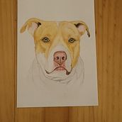 Mi proyecto del curso: Retratos de Mascotas en Lápices de Colores. Traditional illustration, and Naturalistic Illustration project by cristianhurtadocm - 02.22.2024