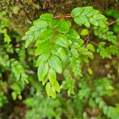 Proyecto final. Photograph project by Carla Fuentealba Diaz - 02.23.2024