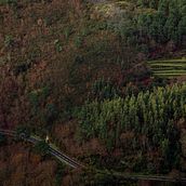 50 shades of green. Un proyecto de Paisajismo de Anderson souza mota - 23.02.2024