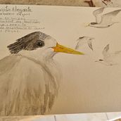 el inicio del cuaderno de viajes y rejistro. Un projet de Dessin, Aquarelle, Carnet de croquis, Illustration naturaliste, Dessin au cra , et on de alejandra gonzalez salazar - 20.02.2024