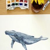 My project for course: Naturalist Illustration Techniques: Whales in Watercolor. Projekt z dziedziny  Sztuki piękne,  Malarstwo, Malowanie akwarelą, Ilustracja naturalist i czna użytkownika Ambre Tatar - 24.02.2024