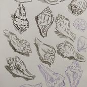 My project for course: Illustrating Nature: A Creative Exploration. Un progetto di Illustrazione tradizionale, Pittura, Disegno, Pittura ad acquerello, Illustrazione con inchiostro e Illustrazione naturalistica di dilipssamarasinghe - 24.02.2024