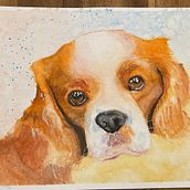 Mijn project van de cursus: Expressieve dierlijke portretten in aquarel. Traditional illustration, Watercolor Painting, Realistic Drawing, and Naturalistic Illustration project by Nathalie - 02.24.2024