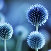 Il mio progetto del corso: Gestione finanziaria per creativi freelance e piccoli business. Een project van Creatieve consultanc,  Design management y Marketing van Chiara Dell'Anna - 25.02.2024