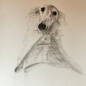 My project for course: Expressive Drawing with Charcoal. Fine Arts, Drawing, Portrait Drawing, and Naturalistic Illustration project by Carolyn Farrington - 02.25.2024