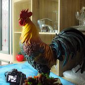 Introduction to Food Photography for Restaurants. Photograph, Food Photograph, and Commercial Photograph project by Darrin creenaune - 02.25.2024