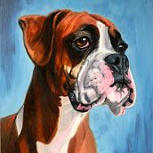 Mein Abschlussprojekt für den Kurs: Realistische Haustierporträts mit Ölmalerei. Un proyecto de Bellas Artes, Pintura, Pintura al óleo e Ilustración naturalista				 de Angelika Schmidt - 11.03.2024