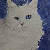 Mi proyecto del curso: Retratos de Mascotas en Lápices de Colores. Traditional illustration, and Naturalistic Illustration project by celia_ - 02.28.2024
