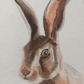 Mi proyecto del curso: Técnicas experimentales de acuarela para principiantes. Traditional illustration, Fine Arts, Watercolor Painting, and Naturalistic Illustration project by Laura Alvarez - 02.27.2024