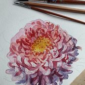 Botanical illustrations -my previous works Ein Projekt aus dem Bereich H, werk, Malerei, Traditionelle Illustration, Skizzenentwurf und Zeichnung von Aliya Rakhmetova - 20.02.2024