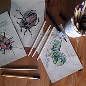 Insect collection - previous works Ein Projekt aus dem Bereich Traditionelle Illustration und Malerei von Aliya Rakhmetova - 10.01.2024