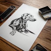 Mein Abschlussprojekt für den Kurs: Tiere zeichnen mit Kohle und Tusche. Fine Arts, Drawing, Ink Illustration, and Naturalistic Illustration project by annemerod - 02.27.2024