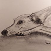 Mein Abschlussprojekt für den Kurs: Tiere zeichnen mit Kohle und Tusche. Fine Arts, Drawing, Ink Illustration, and Naturalistic Illustration project by petra_falk - 02.28.2023