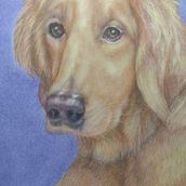 Portrait of Blake. Un proyecto de Bellas Artes de e rivera - 31.01.2024