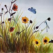 My project for course: Illustrating the Natural World with Watercolor and Charcoal. Traditional illustration, Painting, and Naturalistic Illustration project by Cecilia Capestany - 02.28.2024