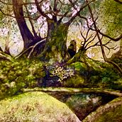 Il mio progetto del corso: Paesaggi incantevoli ad acquerello: dipingi con la luce. Un proyecto de Pintura y Pintura a la acuarela de pigra68 - 29.02.2024