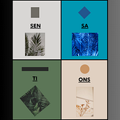 Sensações . Design project by raissahg123 - 03.01.2024