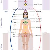 Mapa de chakras- Infografía. Un proyecto de Infografía, Diseño gráfico, Ilustración vectorial, Educación y Diseño de carteles de Isabel Martín - 15.02.2024
