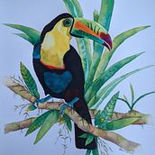 Toucan. Watercolor Painting, Painting, and Artistic Drawing project by Hélène Hélène Castonguay - 02.02.2022