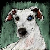My project for course: Creating Original Illustrations with a Tablet. Traditional illustration, Drawing, Digital Illustration, and Digital Drawing project by ajthrelfall - 03.04.2024