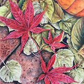 Fall at Your Feet. Colored Pencil Drawing, Pencil Drawing, Fine Arts, and Drawing project by Gretchen - 03.05.2024