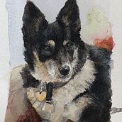 LuLu - portrait for Sarah Stokes’ watercolor course . Arts, and Crafts project by Aleta Boyce - 03.05.2024