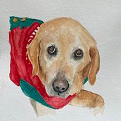 My project for course: Expressive Animal Portraits in Watercolor. Traditional illustration, Watercolor Painting, Realistic Drawing, and Naturalistic Illustration project by Aleta Boyce - 03.05.2024
