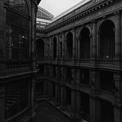 GAL. Un progetto di Fotografia di lkeenb - 07.03.2024