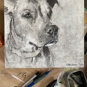 My project for course: Animal Illustration with Charcoal and Ink. Un proyecto de Bellas Artes, Dibujo, Ilustración con tinta e Ilustración naturalista				 de toppclan - 07.03.2024