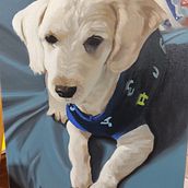 Mi proyecto del curso: Retrato realista de mascotas con pintura al óleo. Un proyecto de Bellas Artes, Pintura, Pintura al óleo e Ilustración naturalista				 de regi_silvacalderon - 07.03.2024