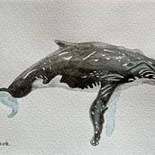 My project for course: Naturalist Illustration Techniques: Whales in Watercolor. Fine Arts, Painting, Watercolor Painting, and Naturalistic Illustration project by Sandra Rohde - 03.08.2024